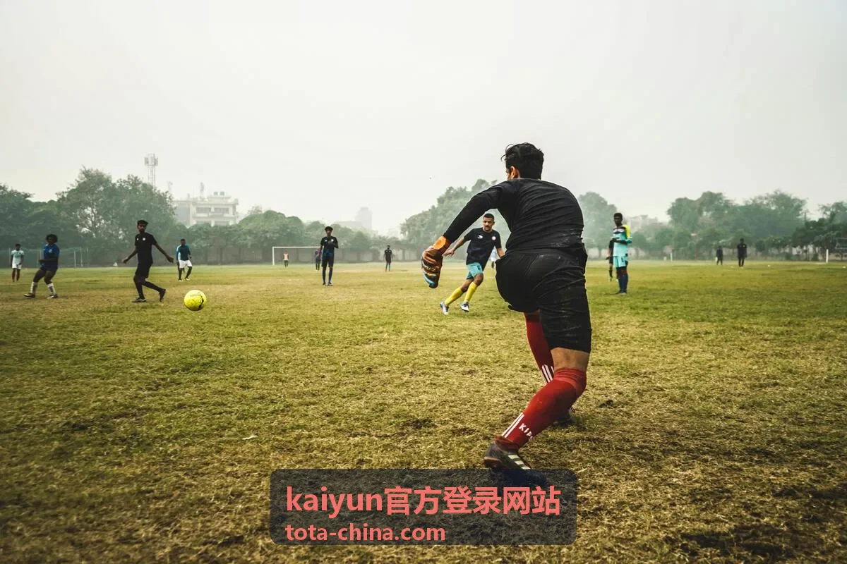 kaiyun官方登录网站账号安全与验证说明封面图