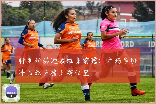 特罗姆瑟迎战维京前瞻：主场争胜冲击积分榜上游位置