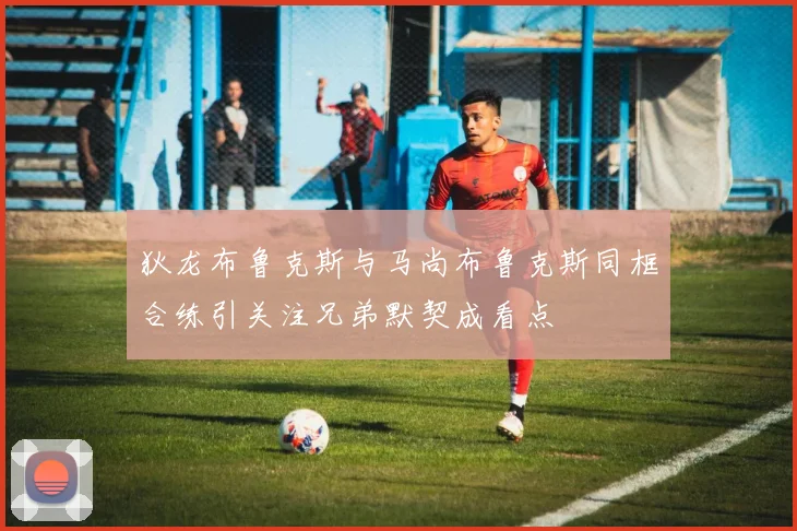 狄龙布鲁克斯与马尚布鲁克斯同框合练引关注兄弟默契成看点
