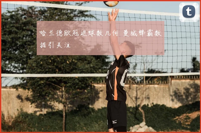 哈兰德欧冠进球数几何 曼城锋霸数据引关注