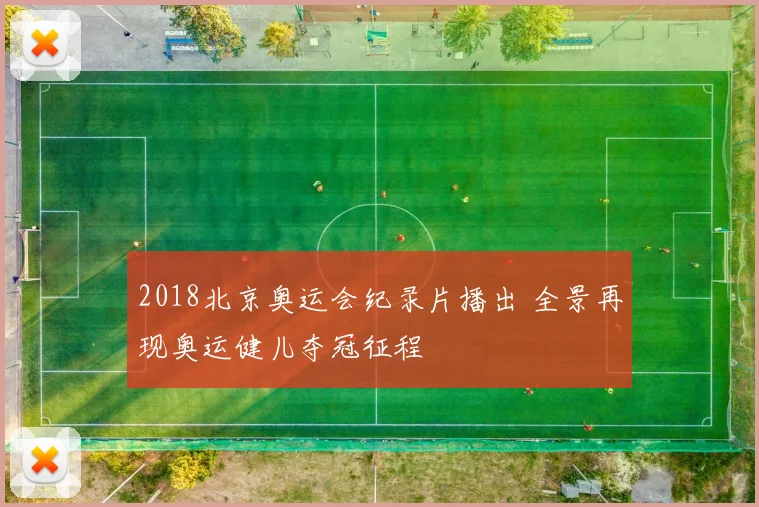 2018北京奥运会纪录片播出 全景再现奥运健儿夺冠征程
