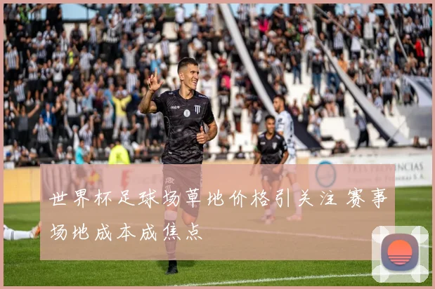 世界杯足球场草地价格引关注 赛事场地成本成焦点