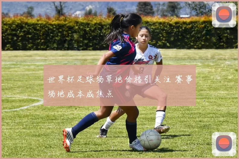 世界杯足球场草地价格引关注 赛事场地成本成焦点